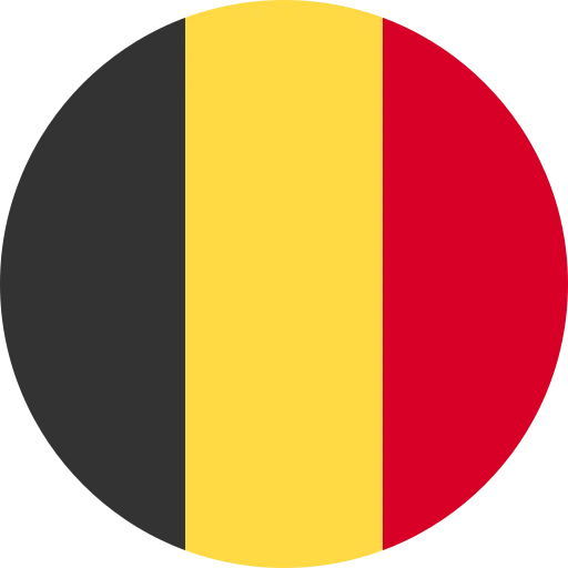 BE flag
