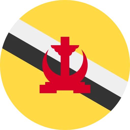 BN flag