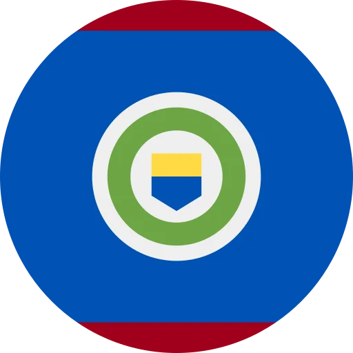 BZ flag