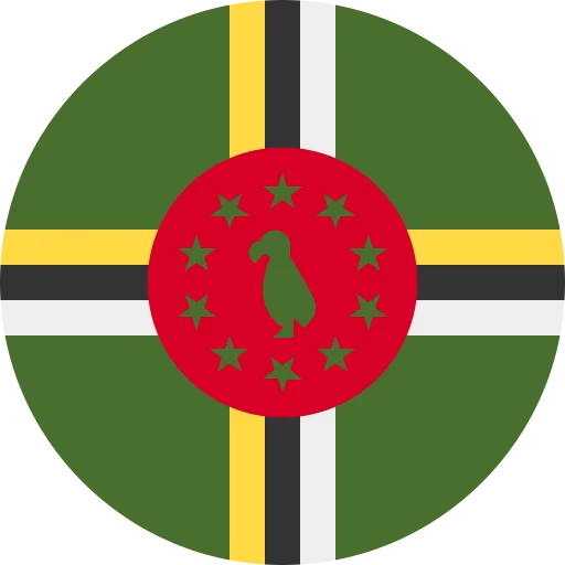 DM flag