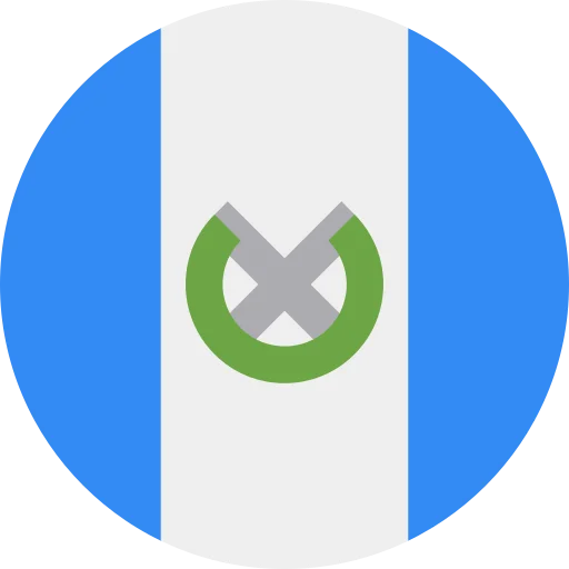 GT flag