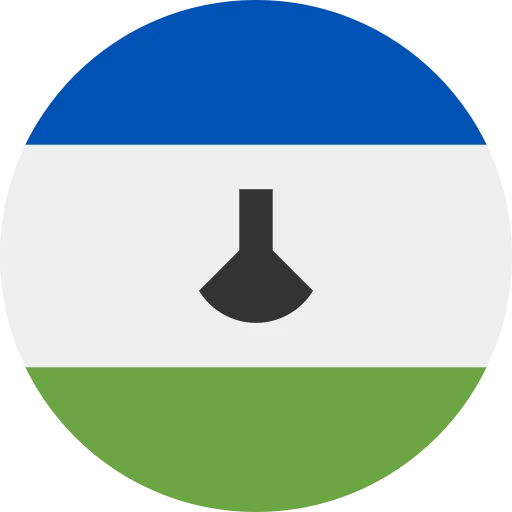 LS flag