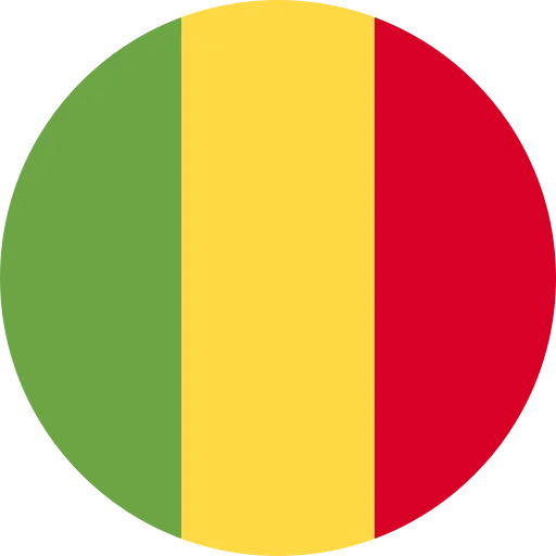 ML flag