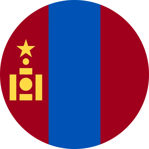 MN flag