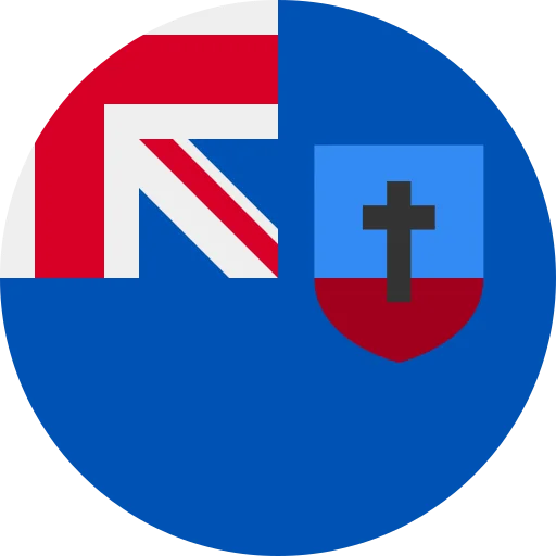 MS flag