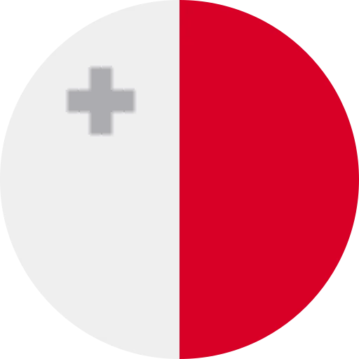 MT flag