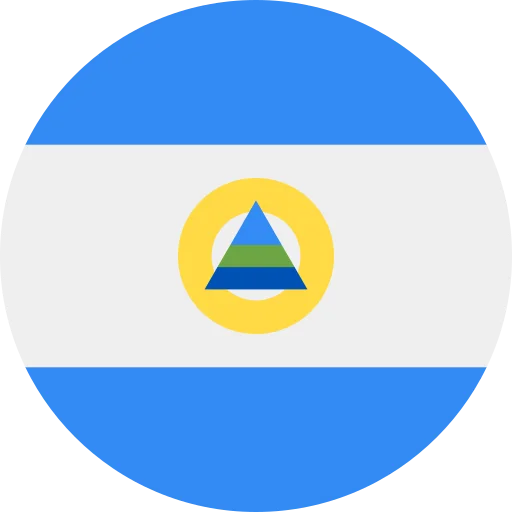 NI flag