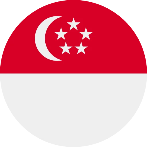 SG flag
