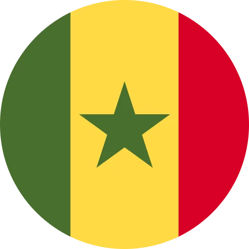 SN flag