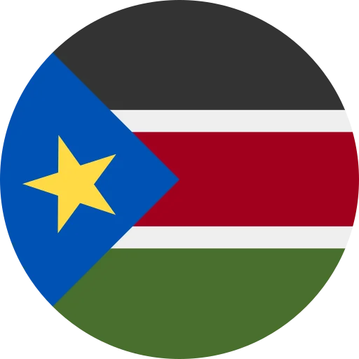 SS flag