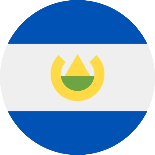 SV flag