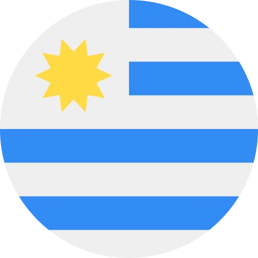 UY flag