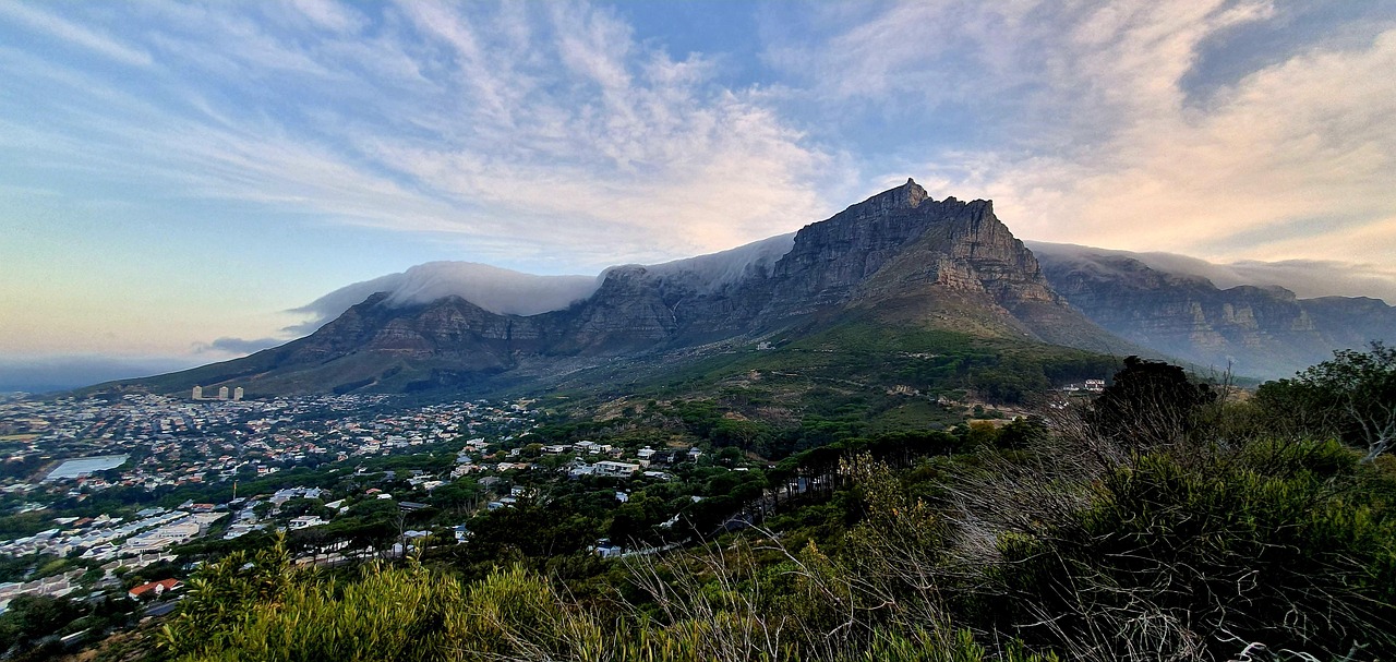 Table Mountain above Cape Town with its tablecloth of cloud and fynbos in the foreground