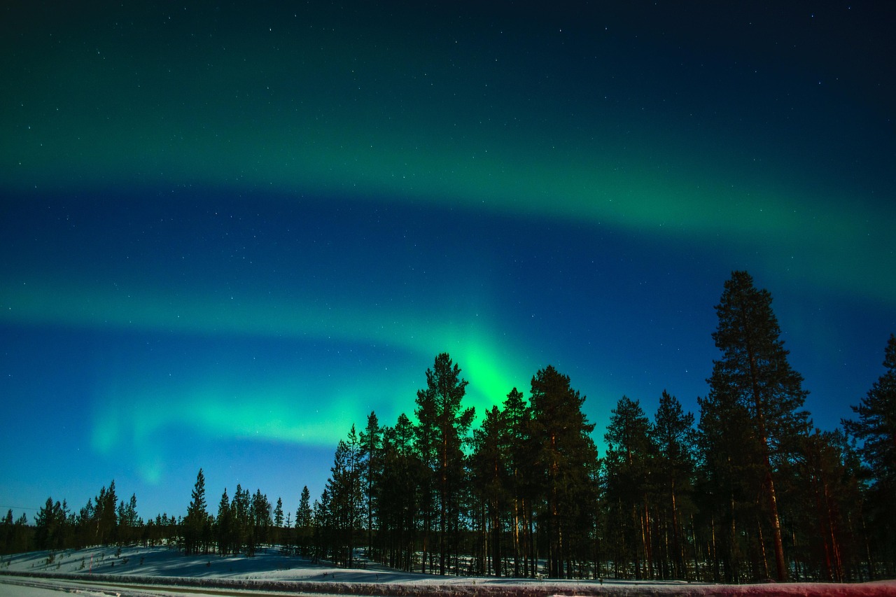Northern lights over pine trees in Inari, Finnish Lapland